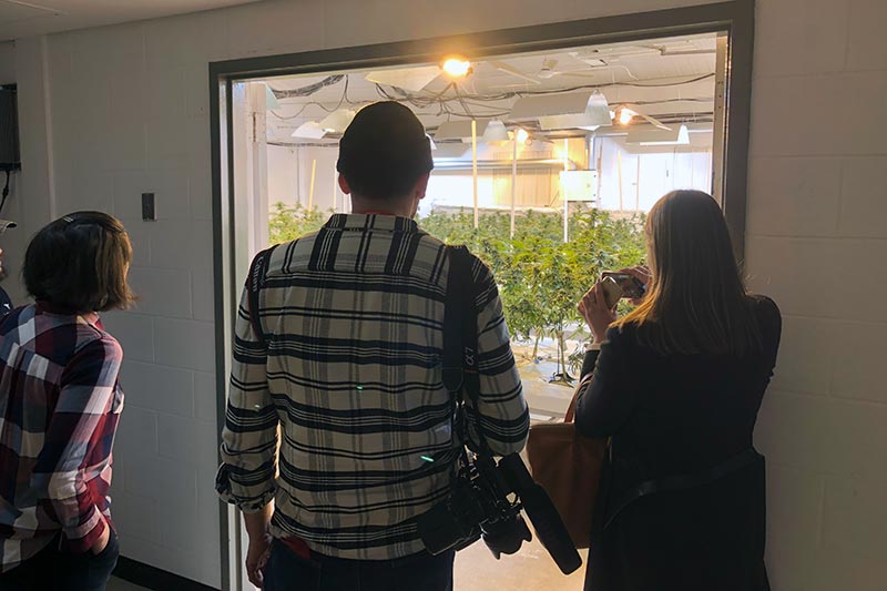 people looking through a window at trees in a greenhouse